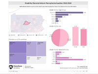 Image of the Disability Characteristics dashboard