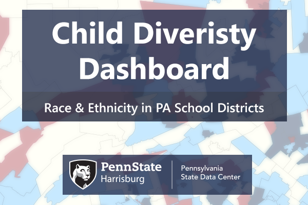 Image of Child Diversity Viz